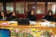  کارگاه شیوه تدوین محتوای برنامه های آموزش مداوم  الکترونیکی ویژه کارشناسان و مسئولان معاونت غذا ودارو توسط دانشکده مجازی